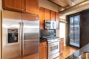 1069 W 14th Pl, Chicago, IL 60608 - Photo 8