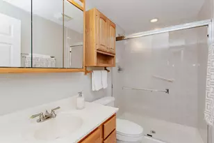 3 Blackwolf Ct, Algonquin, IL 60102 - Photo 92