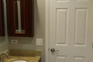 3 Cedar Ct, Vernon Hills, IL 60061 - Photo 26