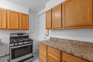 7206 Oak Ave, River Forest, IL 60305 - Photo 2
