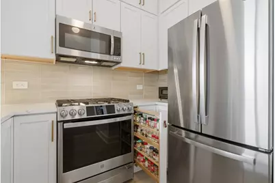 233 E 13th Street #1810, Chicago, IL 60605 - Photo 16