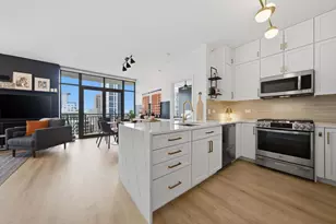 233 E 13th St, Chicago, IL 60605 - Photo 18