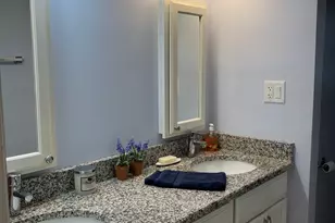 254 Placid Way, Elk Grove Village, IL 60007 - Photo 10