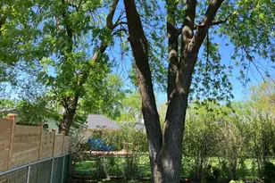 254 Placid Way, Elk Grove Village, IL 60007 - Photo 22