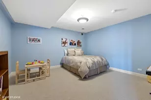 25860 Prairie Hill Ln, Plainfield, IL 60585 - Photo 46