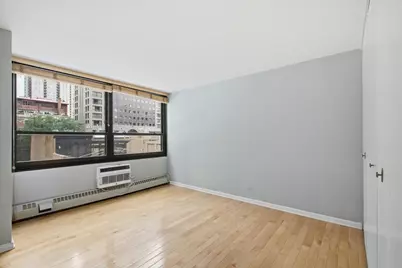 33 E Cedar Street #5B, Chicago, IL 60611 - Photo 10