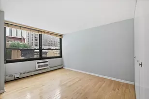 33 E Cedar St, Chicago, IL 60611 - Photo 10