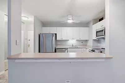 33 E Cedar Street #5B, Chicago, IL 60611 - Photo 4