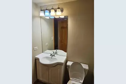 5318 S Kenneth Avenue, Chicago, IL 60632 - Photo 10