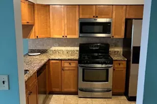 15821 Orlan Brook Dr, Orland Park, IL 60462 - Photo 4