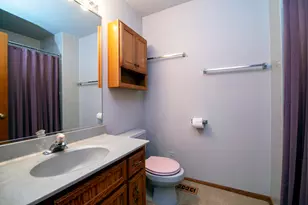11746 Innishmor Ct, Orland Park, IL 60467 - Photo 20