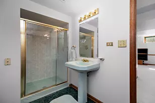 11746 Innishmor Ct, Orland Park, IL 60467 - Photo 26