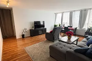 4800 S Chicago Beach Dr, Chicago, IL 60615 - Photo 4