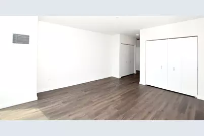 1000 S Michigan Avenue #6606, Chicago, IL 60605 - Photo 16