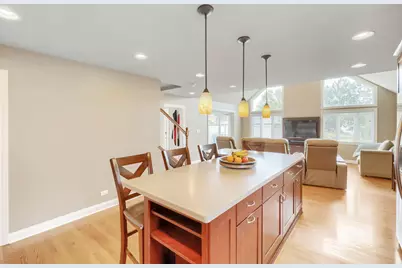 513 N Howard Avenue, Elmhurst, IL 60126 - Photo 6