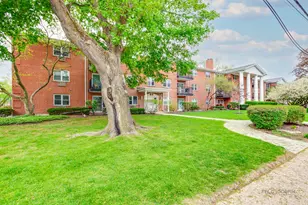809 E Miner St, Arlington Heights, IL 60004 - Photo 18