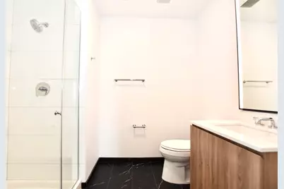 1000 S Michigan Avenue #5701, Chicago, IL 60605 - Photo 28