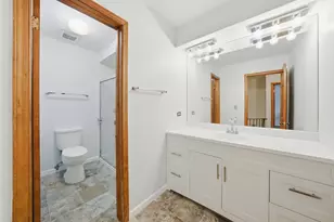 2919 Embassy Row, Flossmoor, IL 60422 - Photo 22