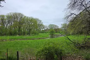 316 Tree Ln, Prophetstown, IL 61277 - Photo 16