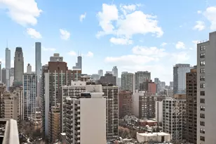1515 N Astor St, Chicago, IL 60610 - Photo 34