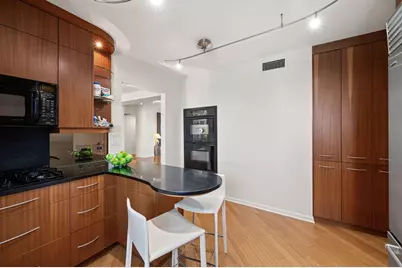 1515 N Astor Street #23BC, Chicago, IL 60610 - Photo 16