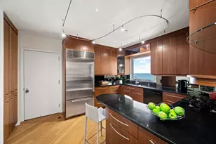 1515 N Astor St, Chicago, IL 60610 - Photo 14