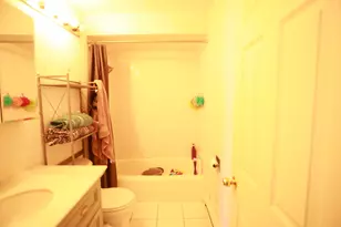 4550 W 57th St, Chicago, IL 60629 - Photo 8