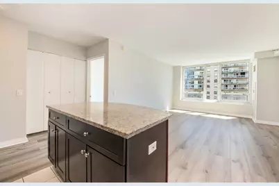 33 W Ontario Street #32E, Chicago, IL 60654 - Photo 14