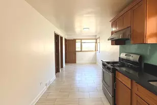 4542 S Mozart St, Chicago, IL 60632 - Photo 10