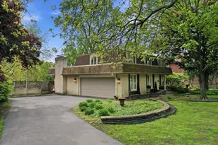 10023 S Wood Ln, Palos Hills, IL 60465 - Photo 30