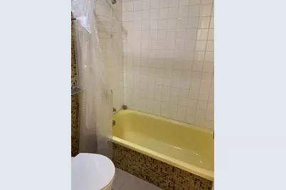 300 N State Street #2627, Chicago, IL 60654 - Photo 14
