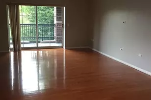 440 W Mahogany Ct, Palatine, IL 60067 - Photo 2