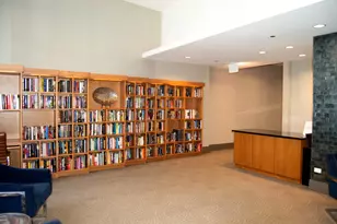 420 E Waterside Dr, Chicago, IL 60601 - Photo 56