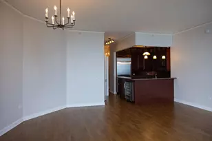 420 E Waterside Dr, Chicago, IL 60601 - Photo 14