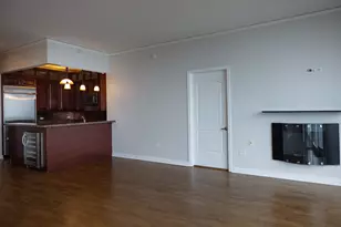 420 E Waterside Dr, Chicago, IL 60601 - Photo 14