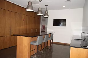 420 E Waterside Dr, Chicago, IL 60601 - Photo 64