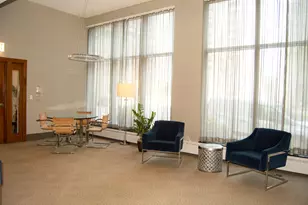 420 E Waterside Dr, Chicago, IL 60601 - Photo 58