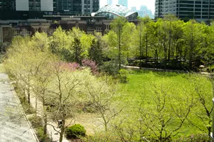 420 E Waterside Dr, Chicago, IL 60601 - Photo 72