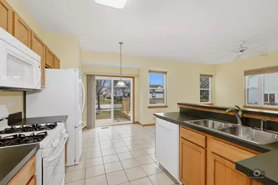 21011 W Torrey Pines Court, Plainfield, IL 60544 - Photo 14