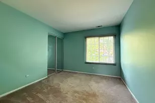 941 Yosemite Trail, Roselle, IL 60172 - Photo 12