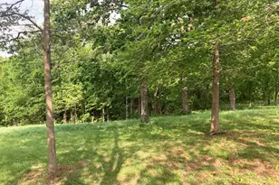 11085 US Hwy 45 Hwy N, Tunnel Hill, IL 62972 - Photo 30