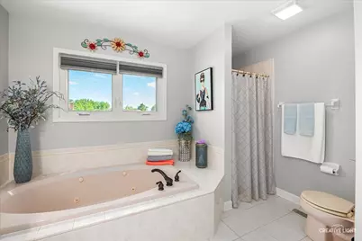 22531 W Bass Lake Road, Plainfield, IL 60544 - Photo 20