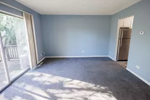 1119 S Curtis Ave, Kankakee, IL 60901 - Photo 10