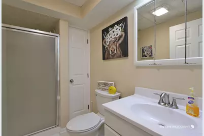 9209 Anthony Lane, Spring Grove, IL 60081 - Photo 22