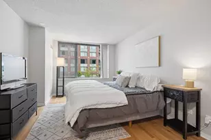 440 N McClurg Ct, Chicago, IL 60611 - Photo 10