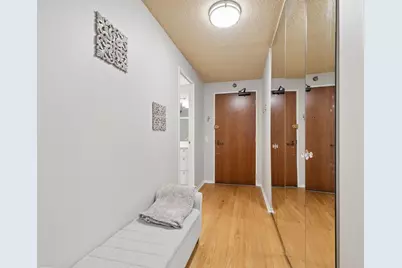 440 N McClurg Court #402S, Chicago, IL 60611 - Photo 4