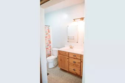 466 County Road 100, Sadorus, IL 61872 - Photo 24