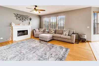 248 S Litchfield Drive, Round Lake, IL 60073 - Photo 2