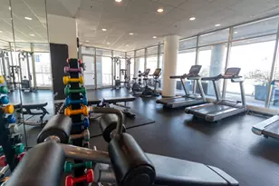303 W Ohio St, Chicago, IL 60654 - Photo 28