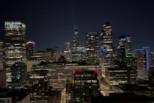 303 W Ohio St, Chicago, IL 60654 - Photo 18
